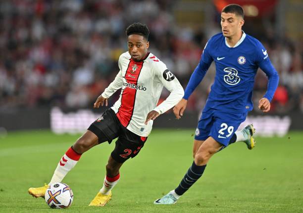 觉性和经验 觉性和经验