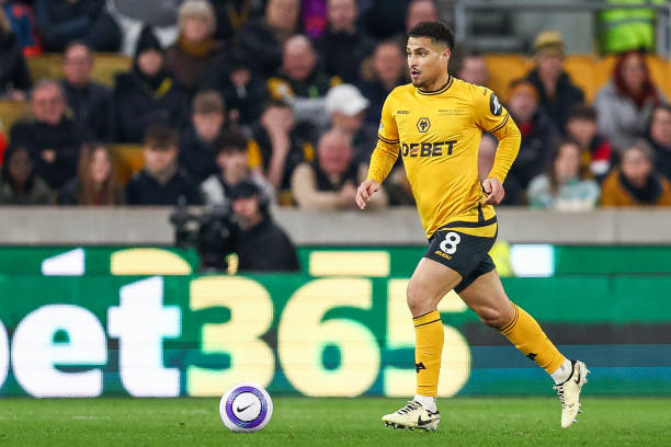 教练与球员 教练与球员